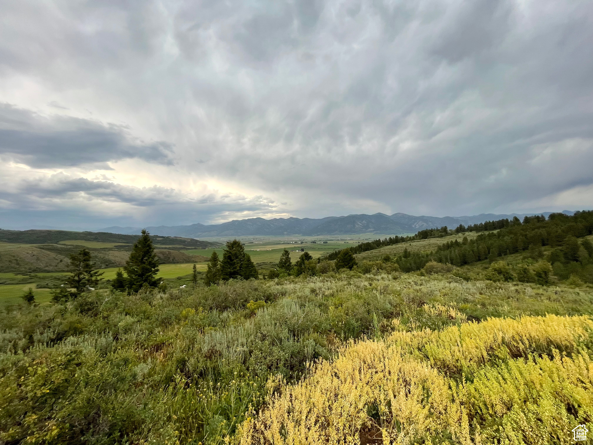 5  RIDGE DR, Freedom, WY 83120 — photo 1