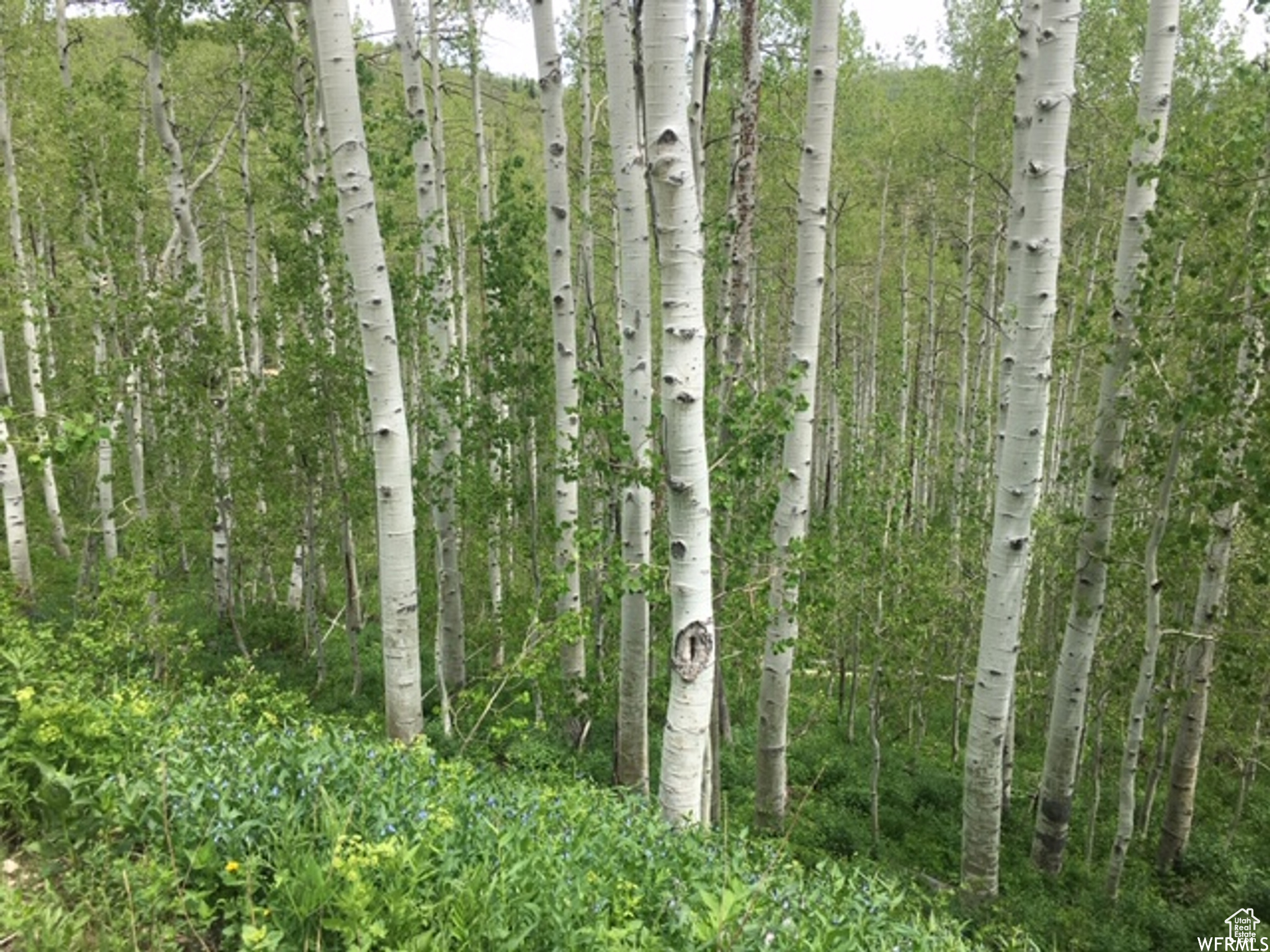 2183  ASPEN DR, Coalville, UT 84017 — photo 1