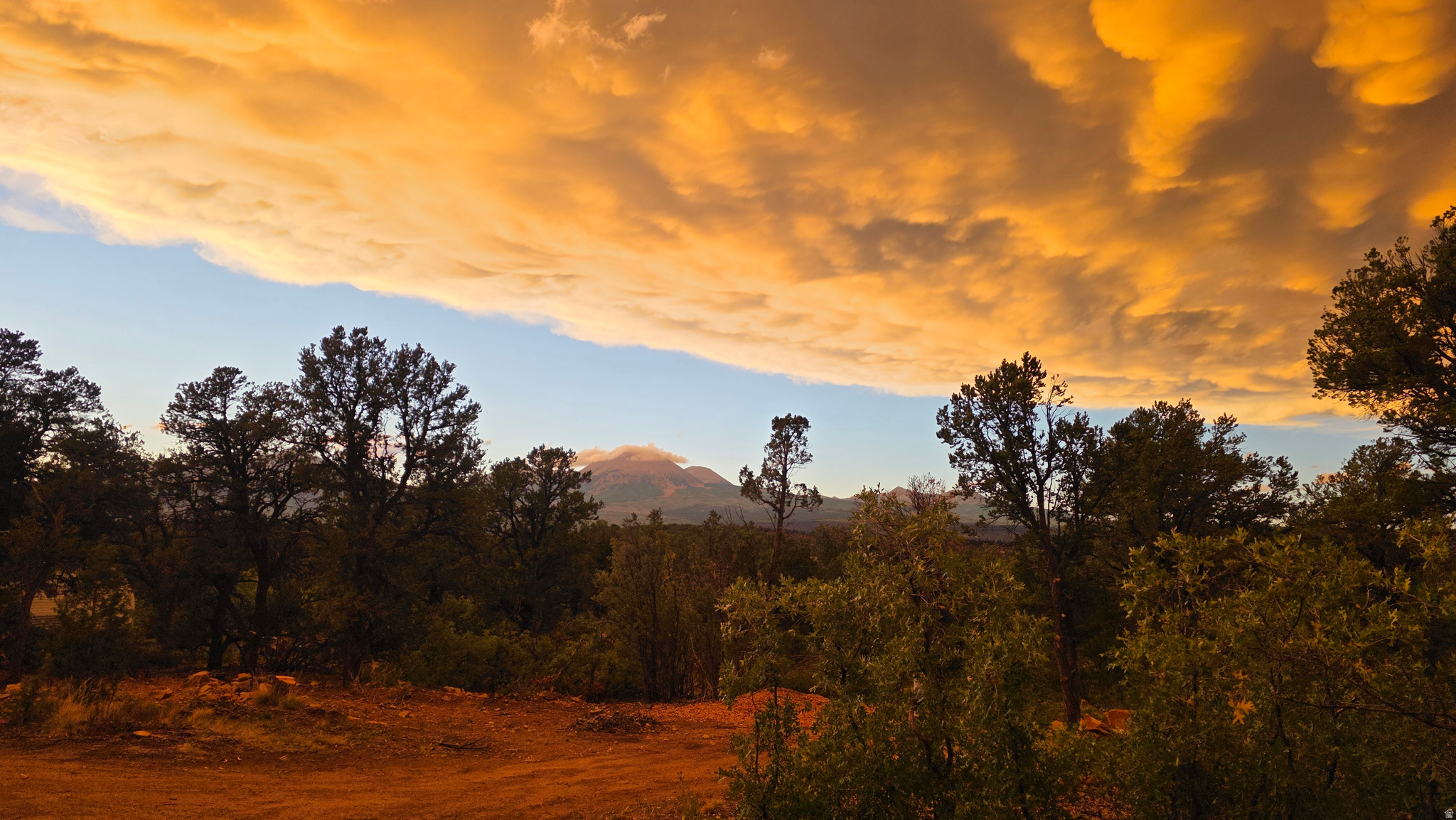 95 S WRAY MESA RD, La Sal, UT 84530 — photo 1