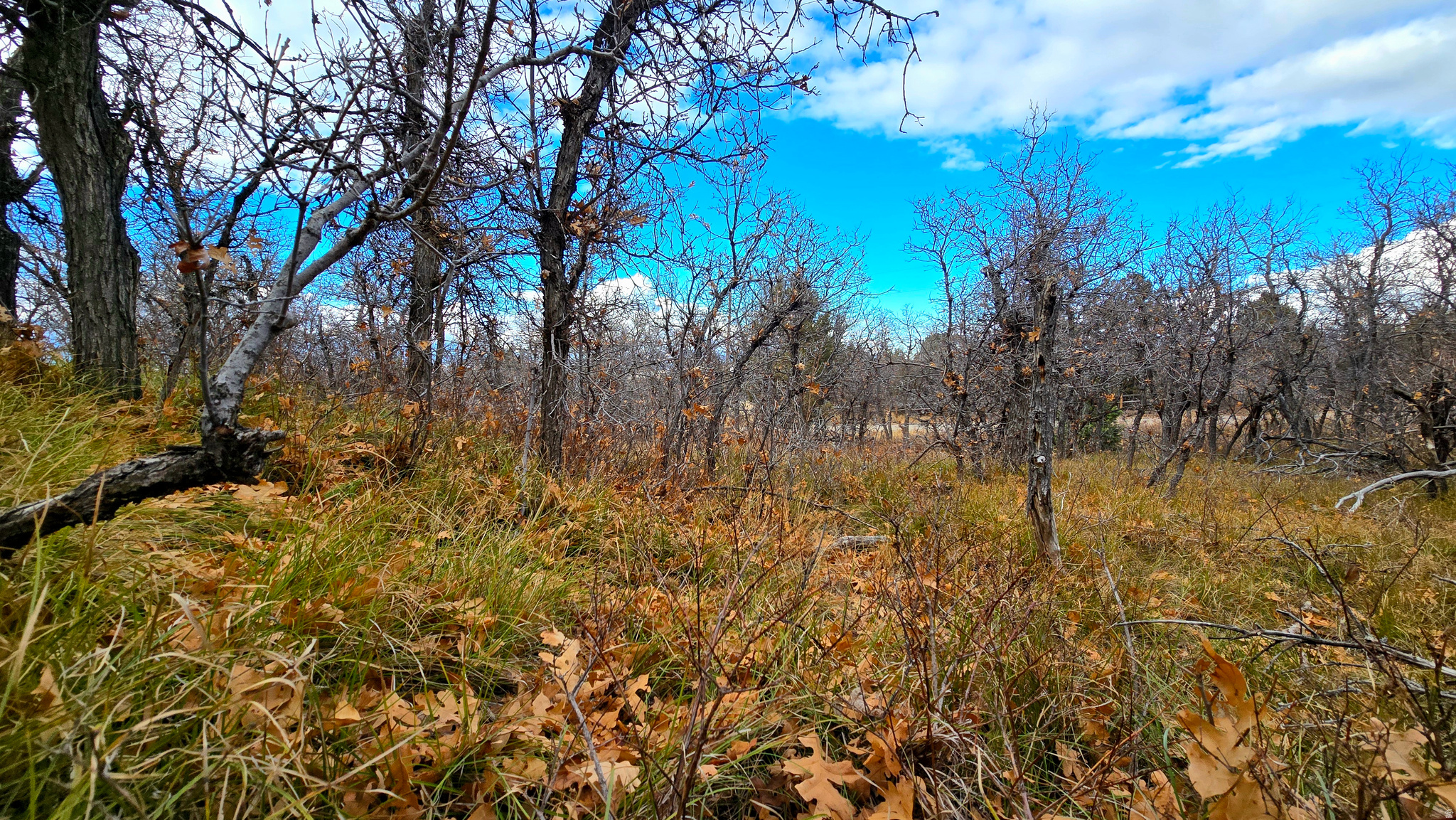 138  PHASE 3 SECTION A, Mt Pleasant, UT 84647 — photo 1