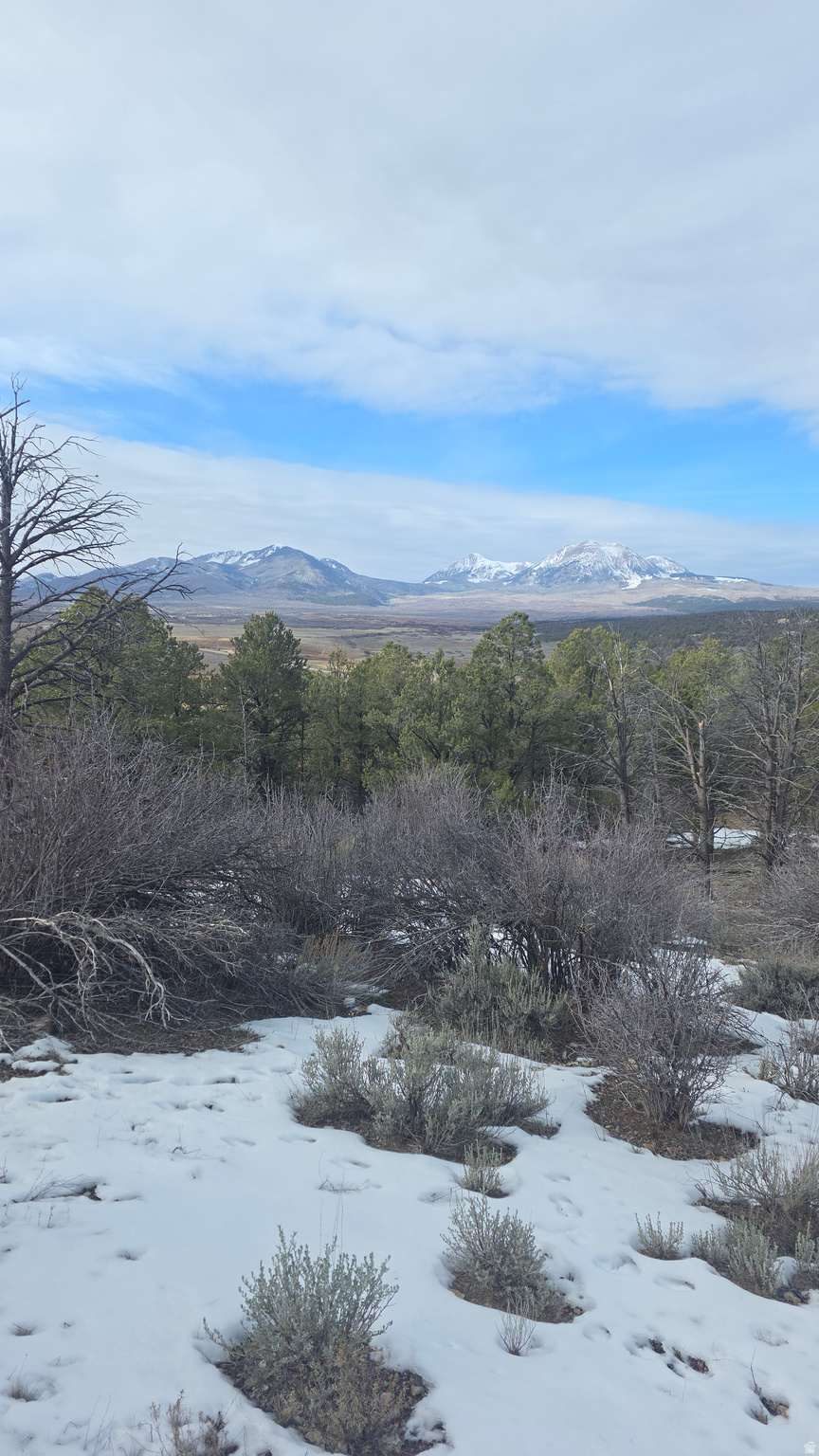60 S WRAY MESA RD, La Sal, UT 84530 — photo 1
