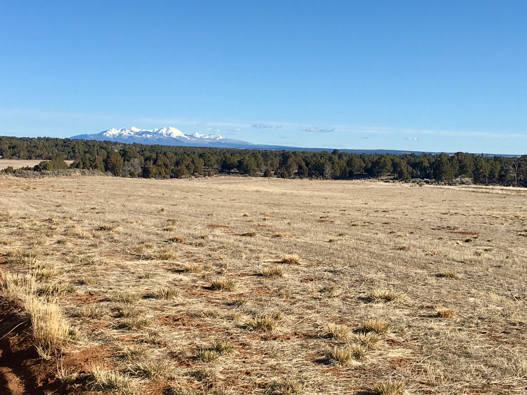 259 N OLD HWY, Monticello, UT 84535 — photo 1