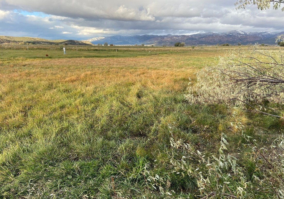 19250 N 1100 W, Mt Pleasant, UT 84647 — photo 1