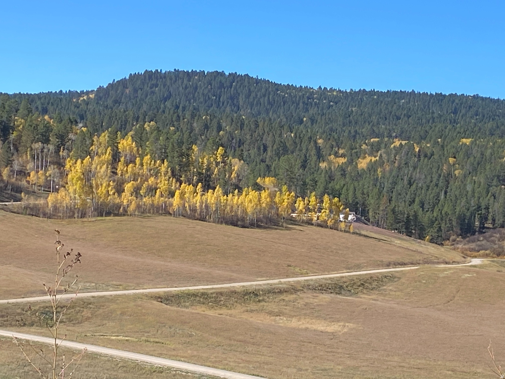 14  ELK WATCH LN