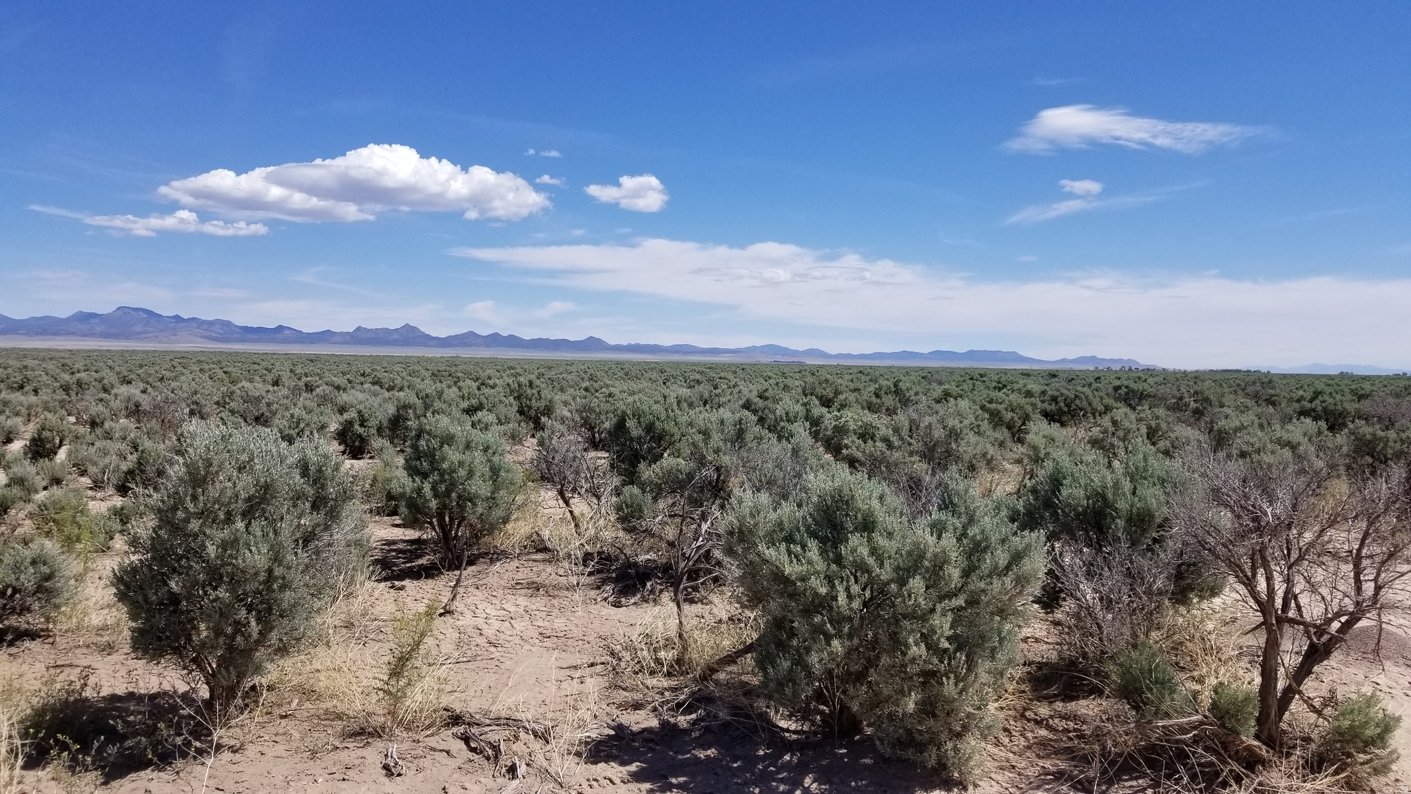 8350 W 5200 N, Beryl, UT 84714 — photo 1