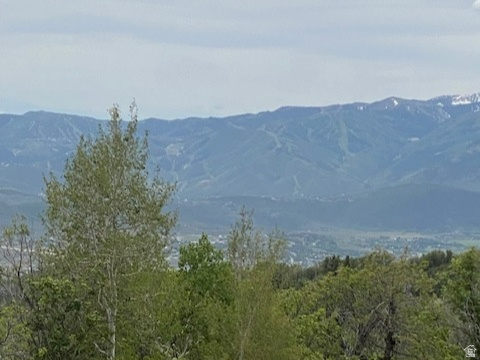 2604 S FOREST MEADOW RD, Coalville, UT 84017 — photo 1