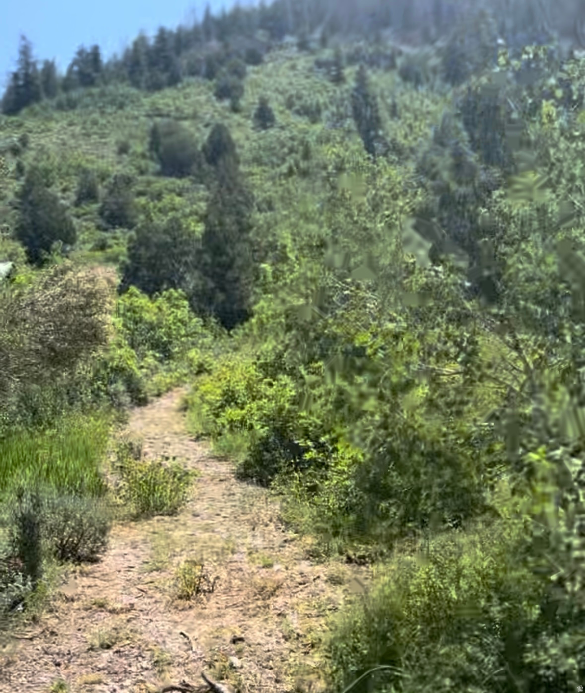 424  BEAVER CREEK RD HLS, Kamas, UT 84036 — photo 1