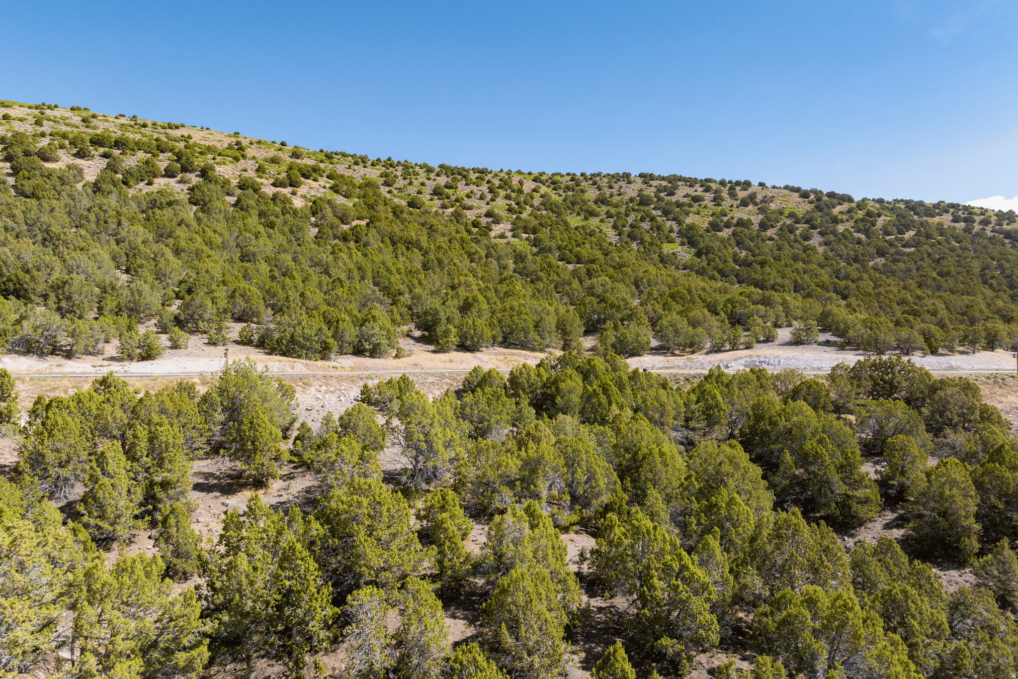 1612 N A1 PEAK CIR, Heber City, UT 84032 — photo 1