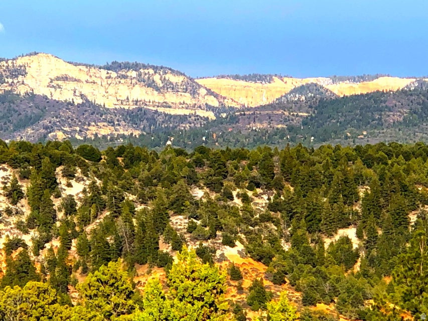 5 ACRES FRANCIS ST, Duck Creek Village, UT 84762 — photo 1