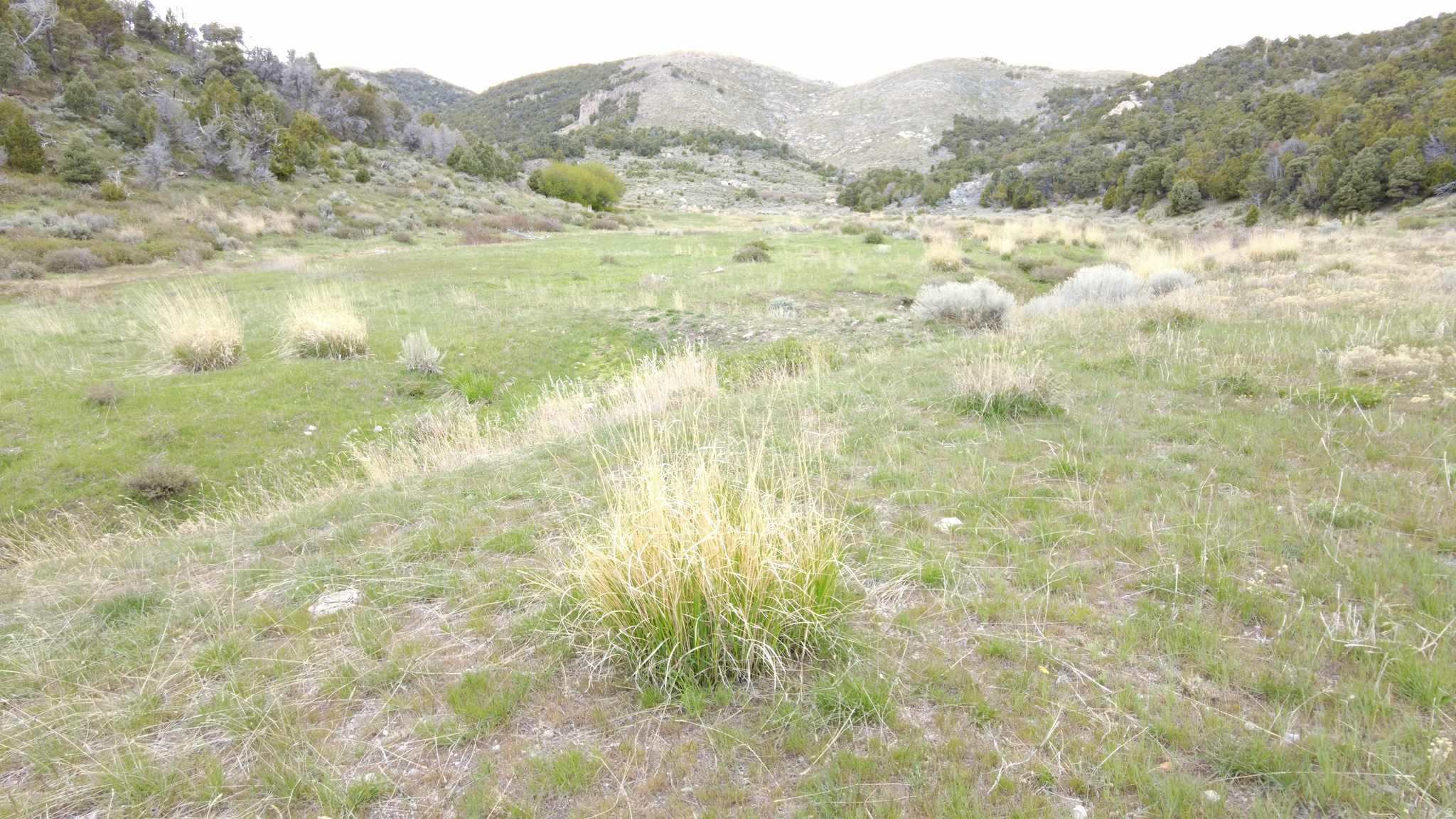 N CLEAR SPRINGS RD., Park Valley, UT 84329 — photo 1