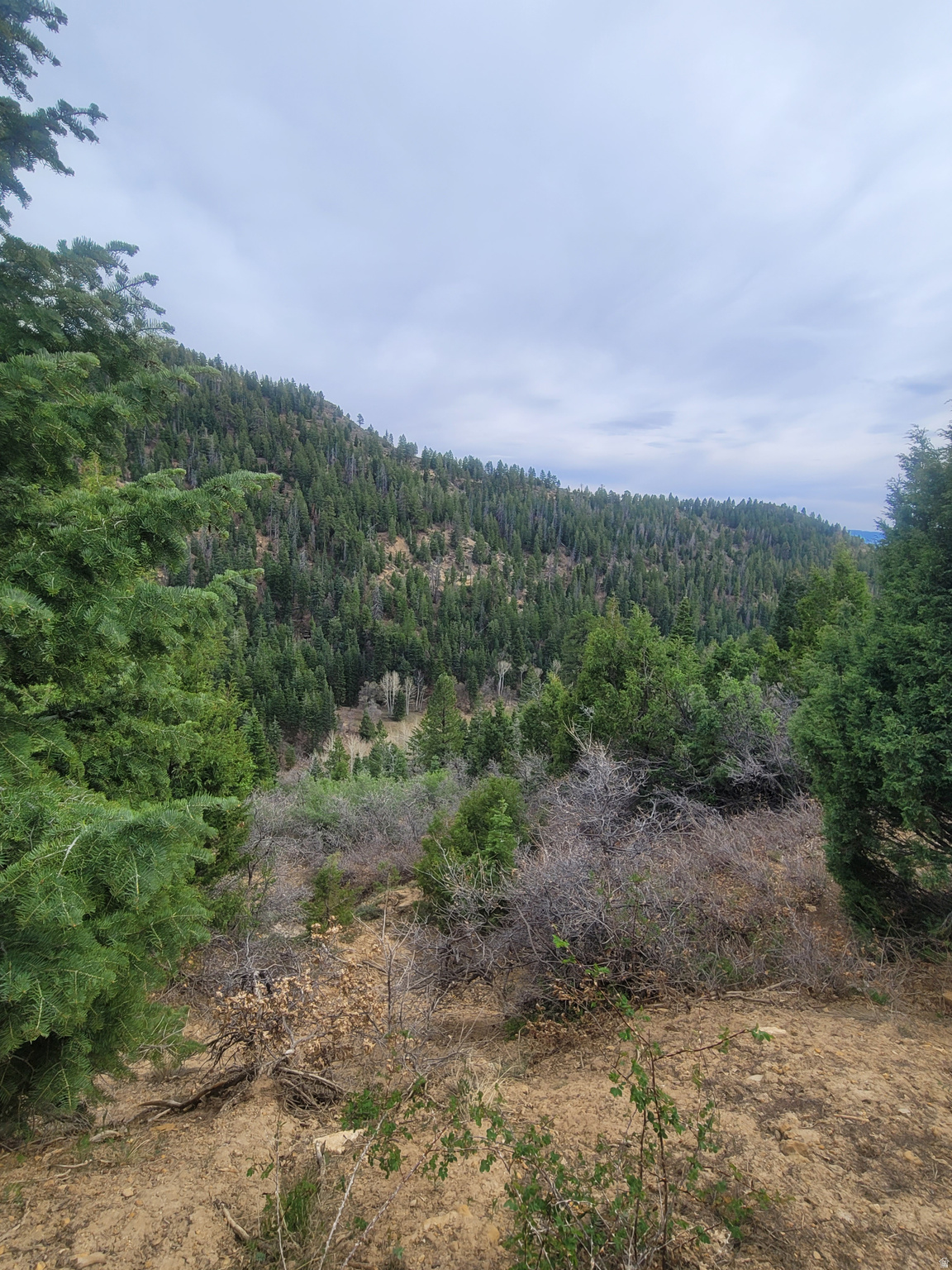 71 W SKY HVN, Duck Creek Village, UT 84762 — photo 1