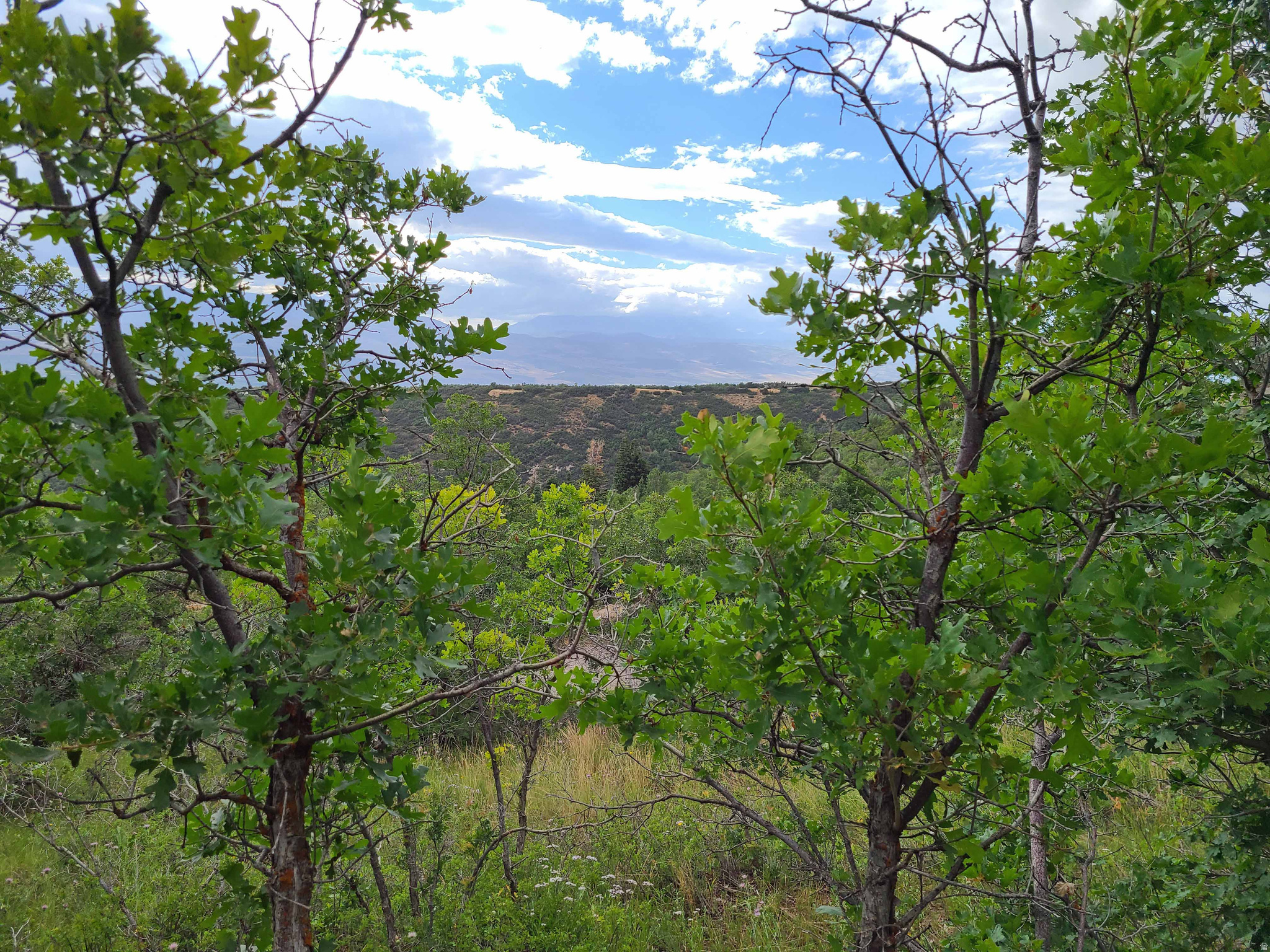 1132 E SHADOW WAY, Fairview, UT 84629 — photo 1