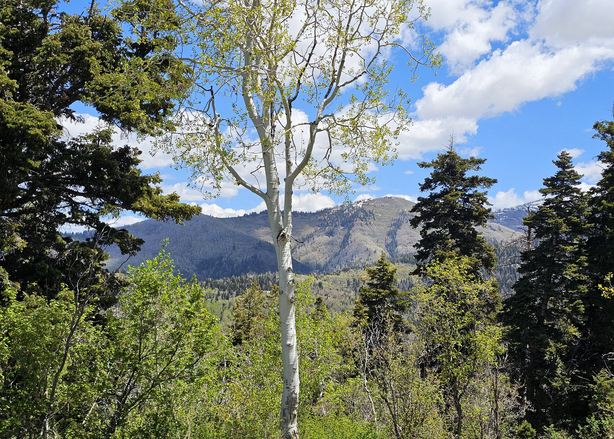 27  PINE RIDGE RD, Mt Pleasant, UT 84647 — photo 1