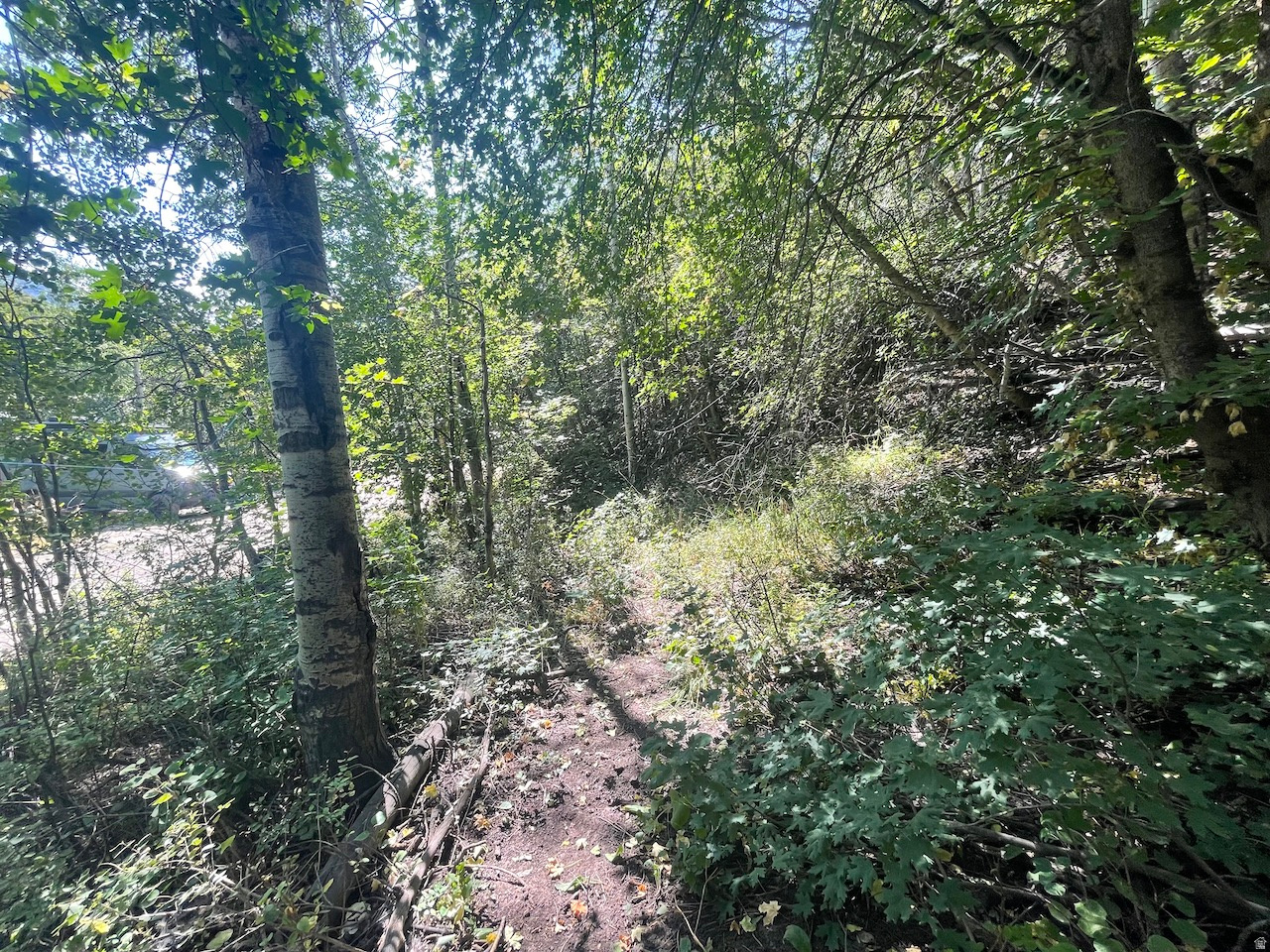 10337 N RIVER RD, Oakley, UT 84055 — photo 1