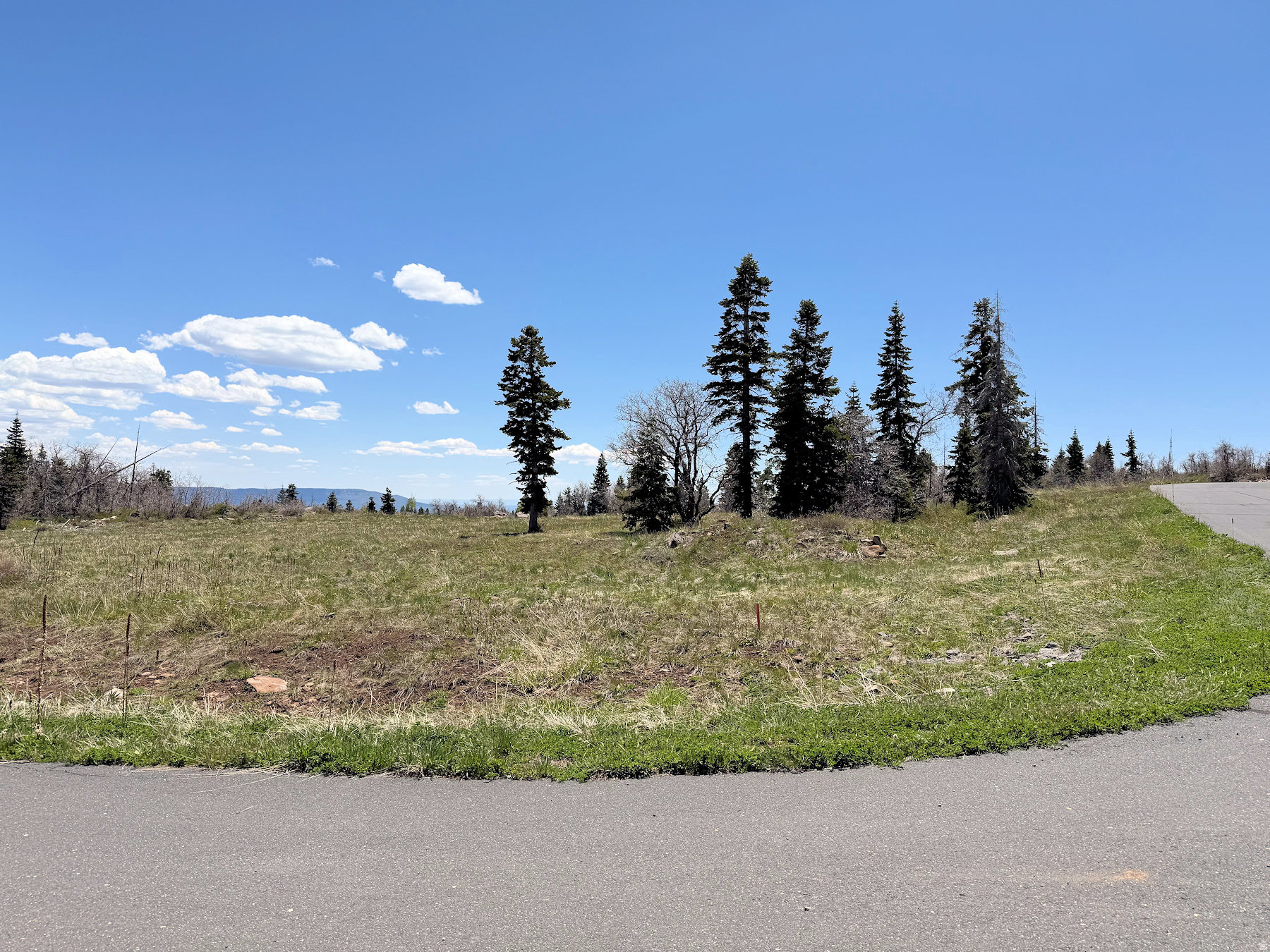 403 W BLUE SPRUCE DR, Virgin, UT 84779 — photo 1