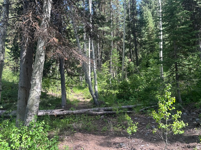 9328 E WILD CLEMATIS LN, Brighton, UT 84121 — photo 1