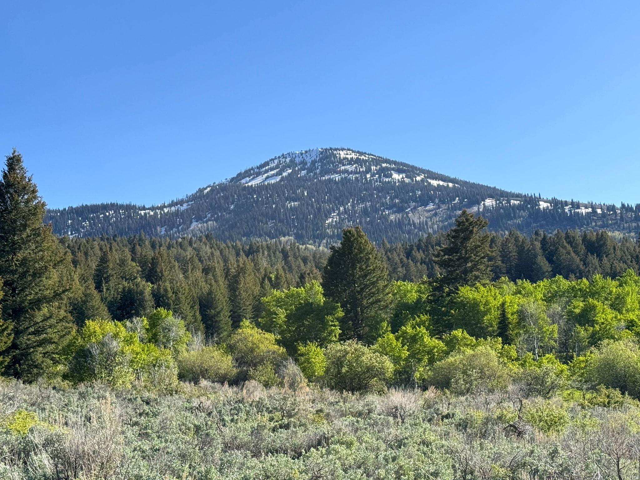 1200 S LANDS CREEK RD, Albion, ID 83311 — photo 1