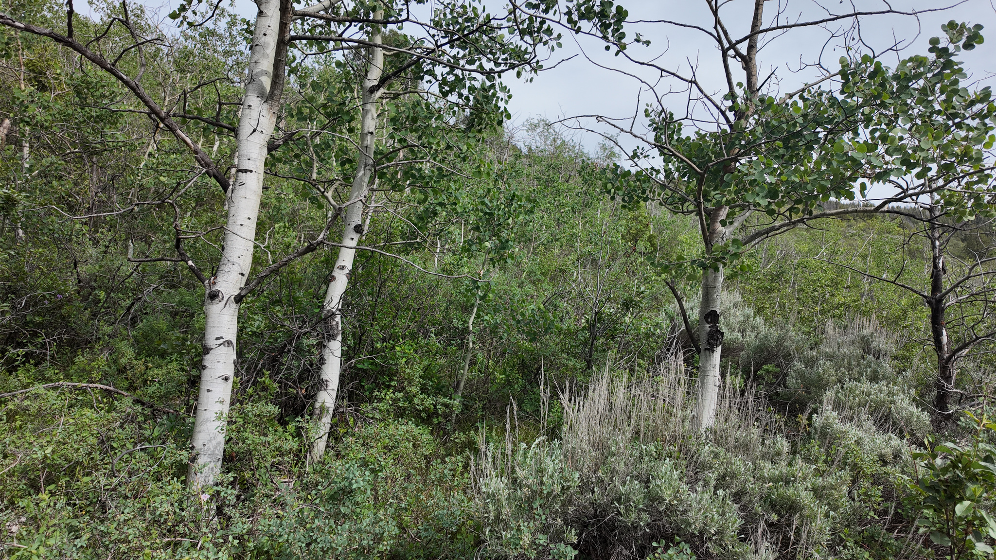 4060 WILDLIFE WAY, Kamas, UT 84036 — photo 1