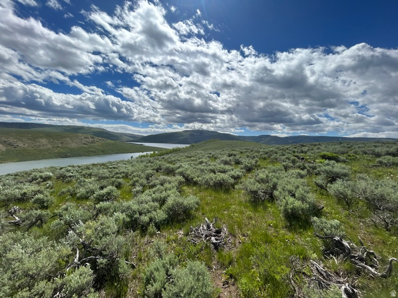 9  LAKE VIEW DR, Scofield, UT 84526 — photo 1