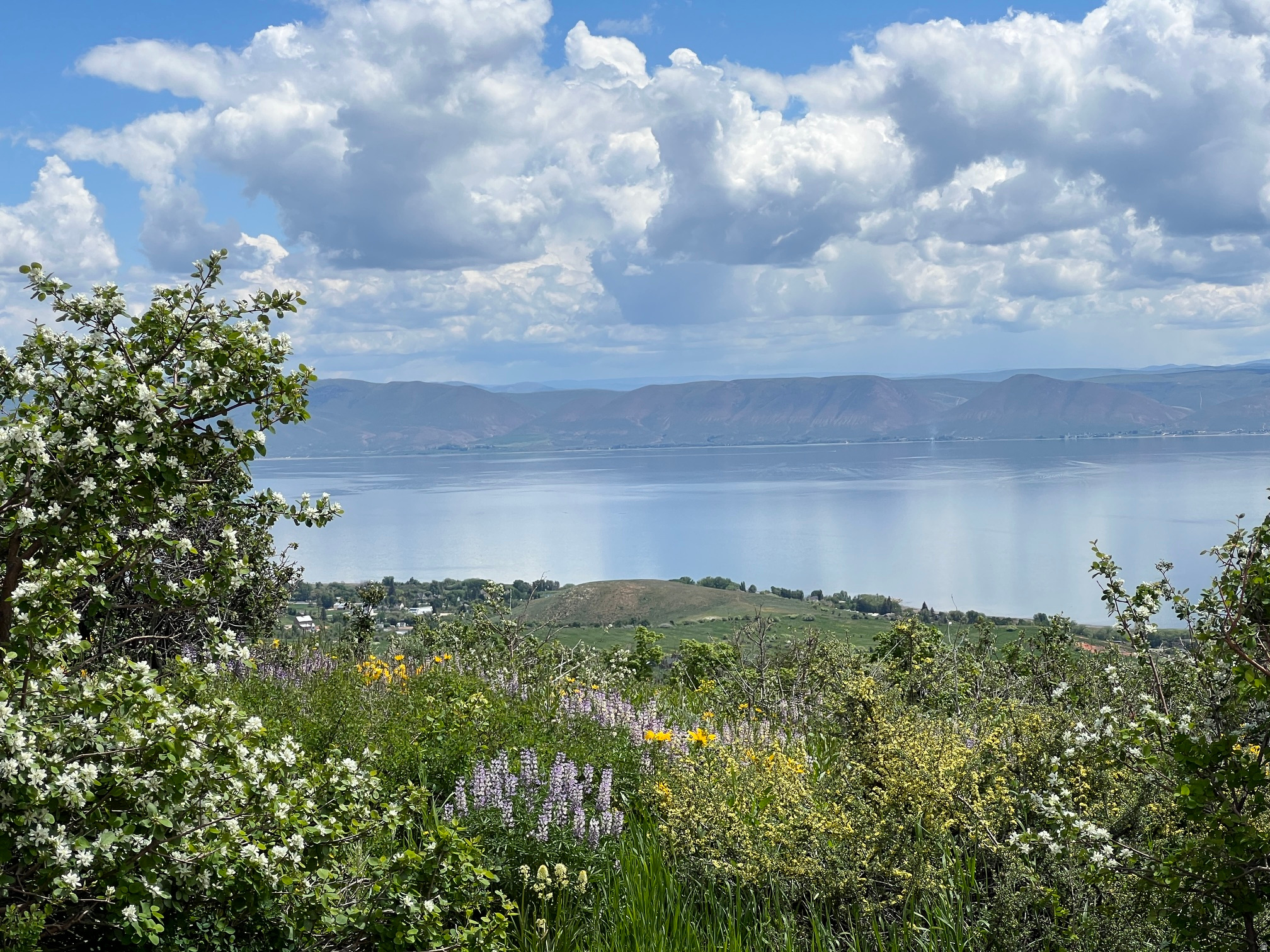 12  ASPEN PL, Fish Haven, ID 83287 — photo 1