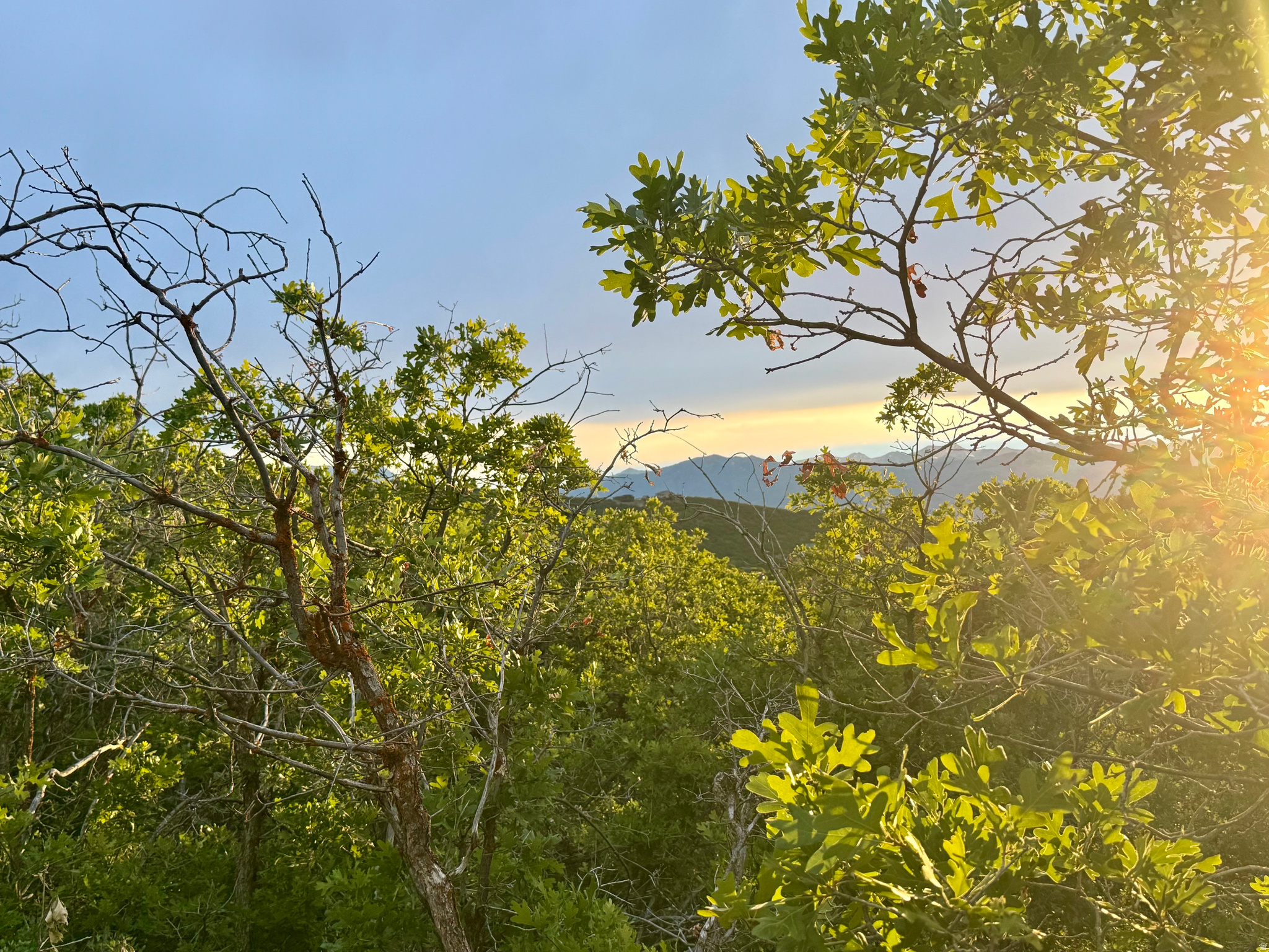 1556 S TREE TOP LN, Heber City, UT 84032 — photo 1