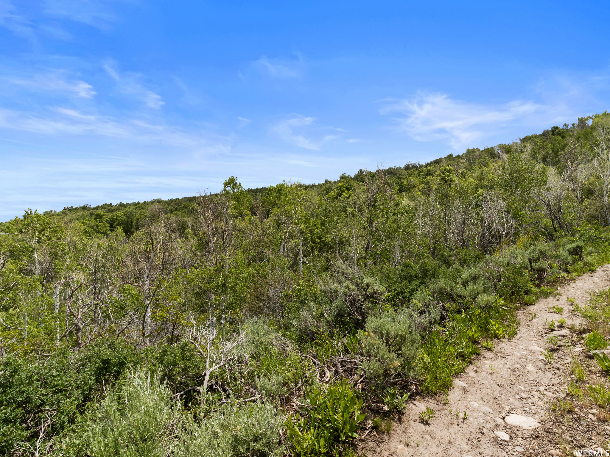 4891 S WOODLAND WAY, Kamas, UT 84036 — photo 1