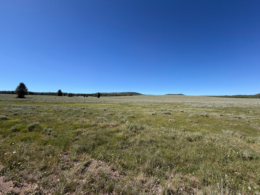 2479 E MEADOW LAKE DR, Brian Head, UT 84719 — photo 1