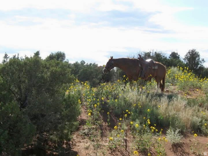 5929 W 350 S, Roosevelt, UT 84066 — photo 1