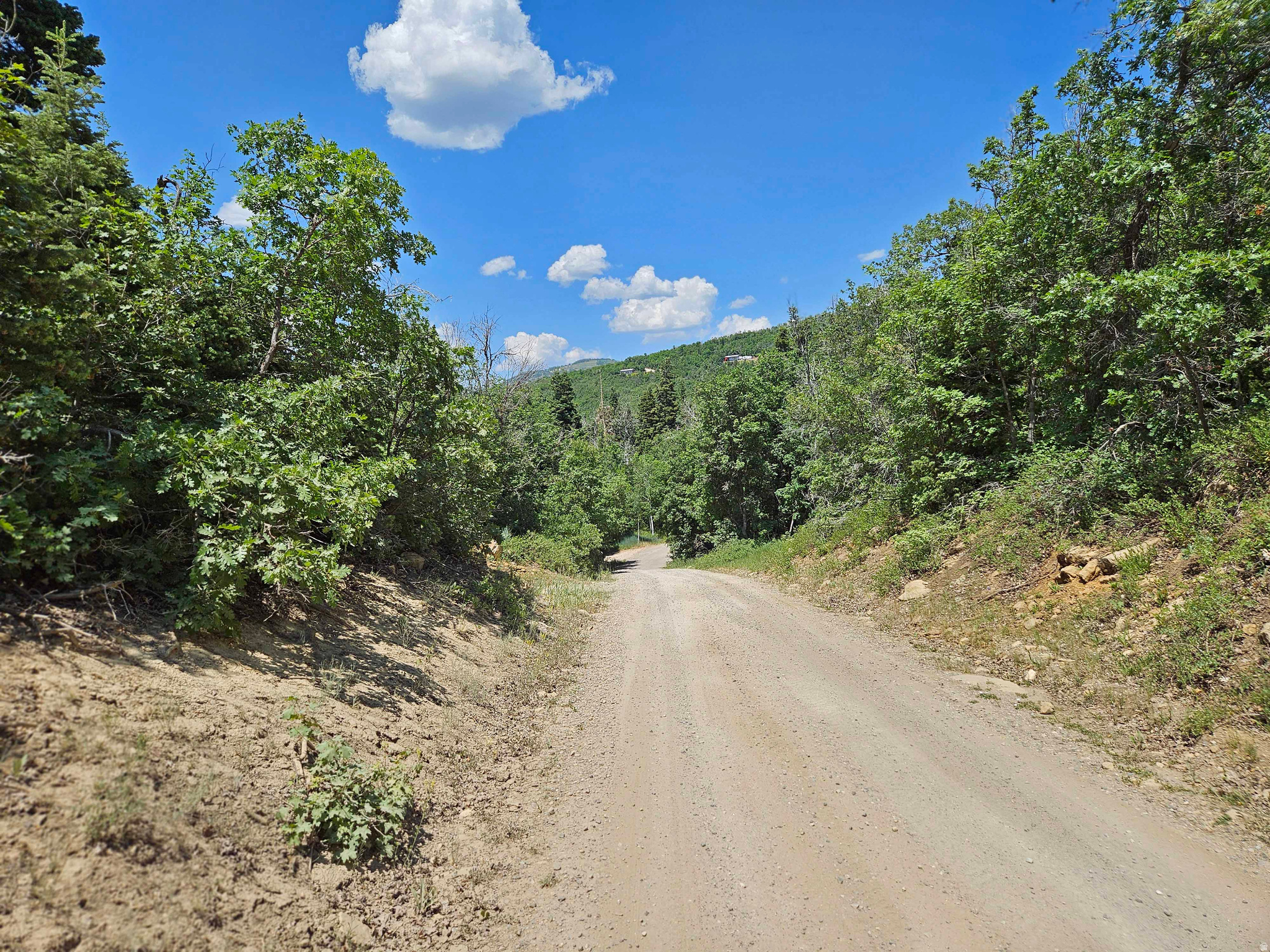844 E EDGEWOOD DR, Fairview, UT 84629 — photo 1