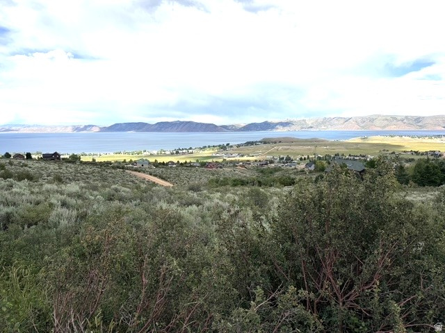 2454  SERVICEBERRY DR, Garden City, UT 84028 — photo 1