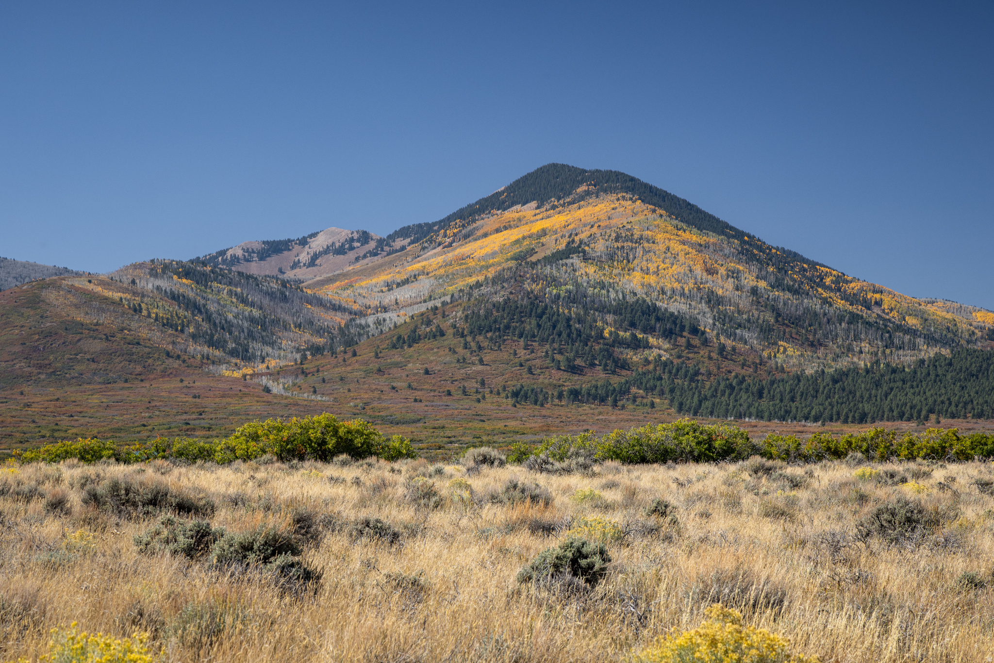 121 E DEER CREEK RD, La Sal, UT 84530 — photo 1