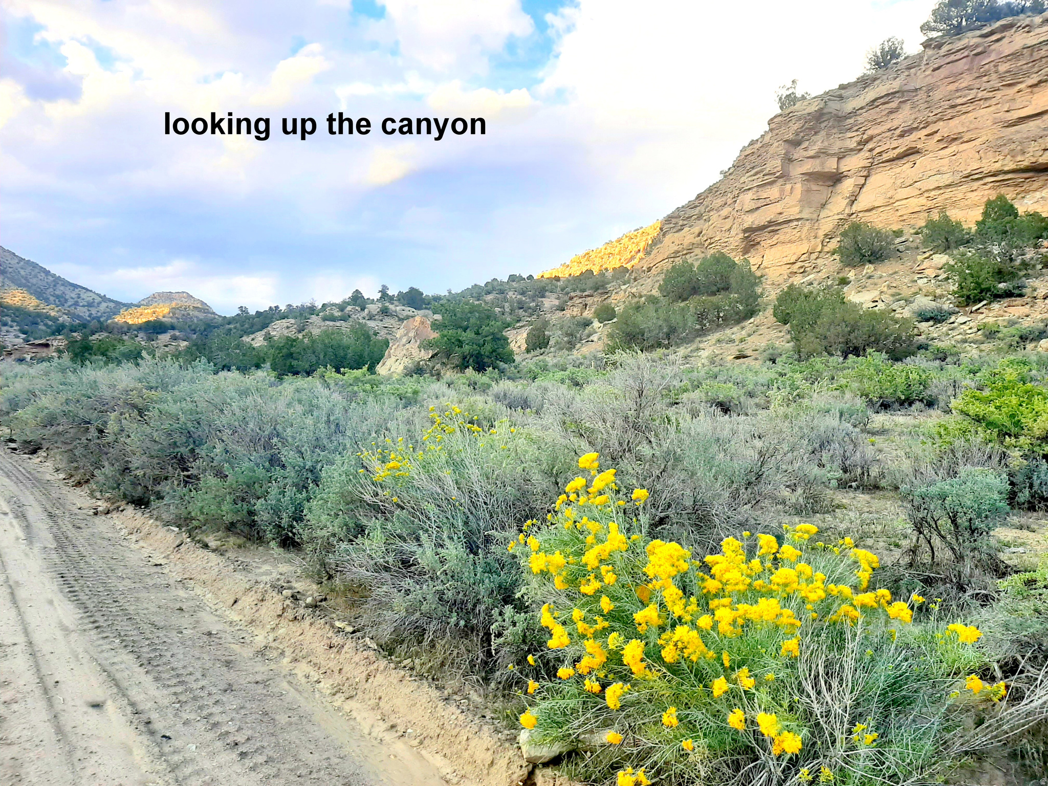 3366  THOMPSON CANYON RD