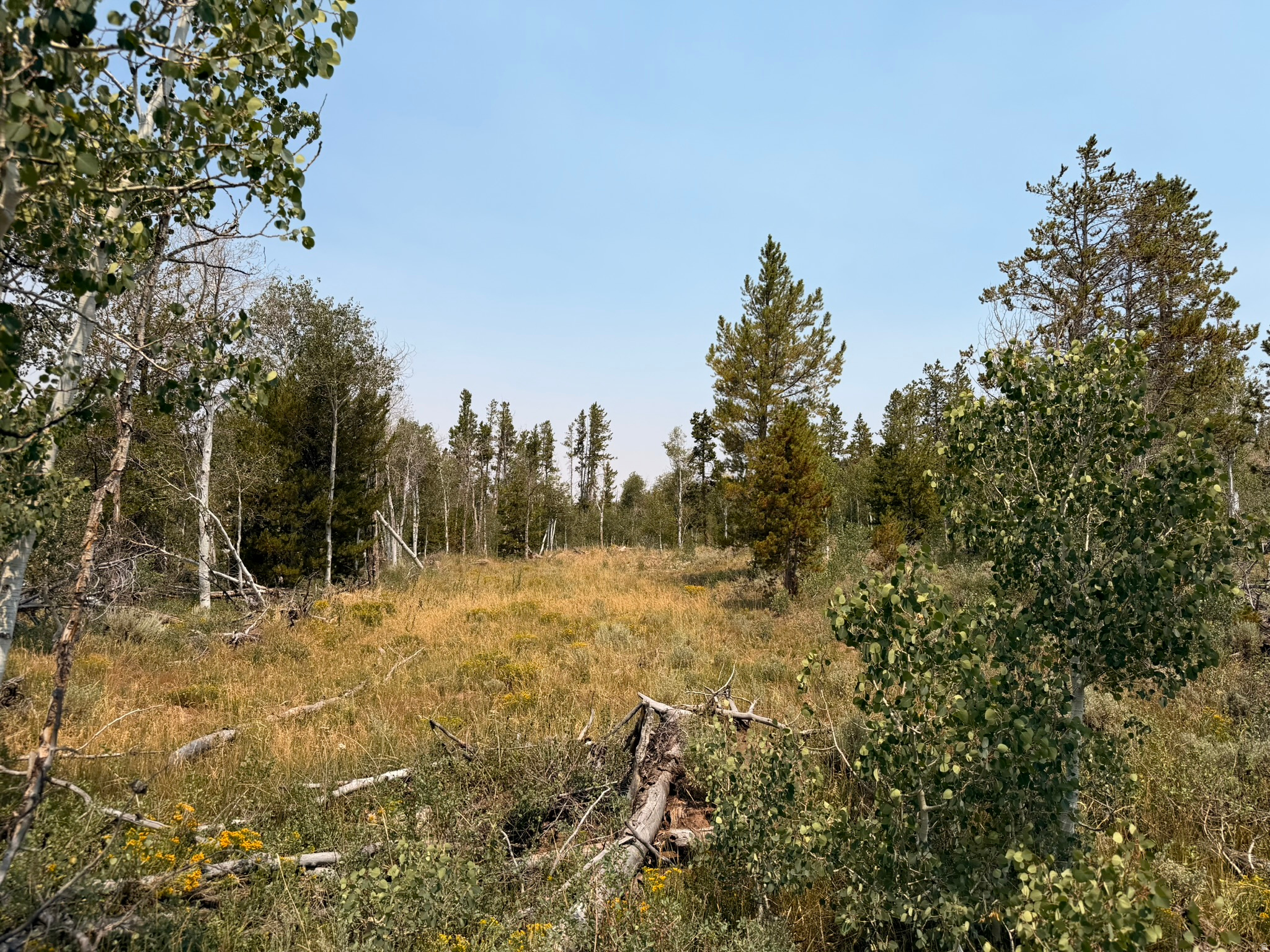 4913 PINECREST RD, Kamas, UT 84036 — photo 1