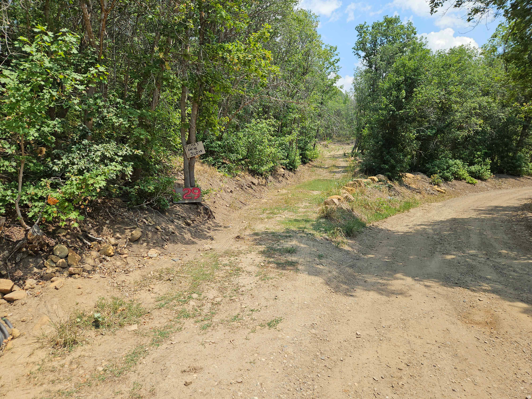 29 E UPPER BIRCH CREEK DR, Fairview, UT 84629 — photo 1