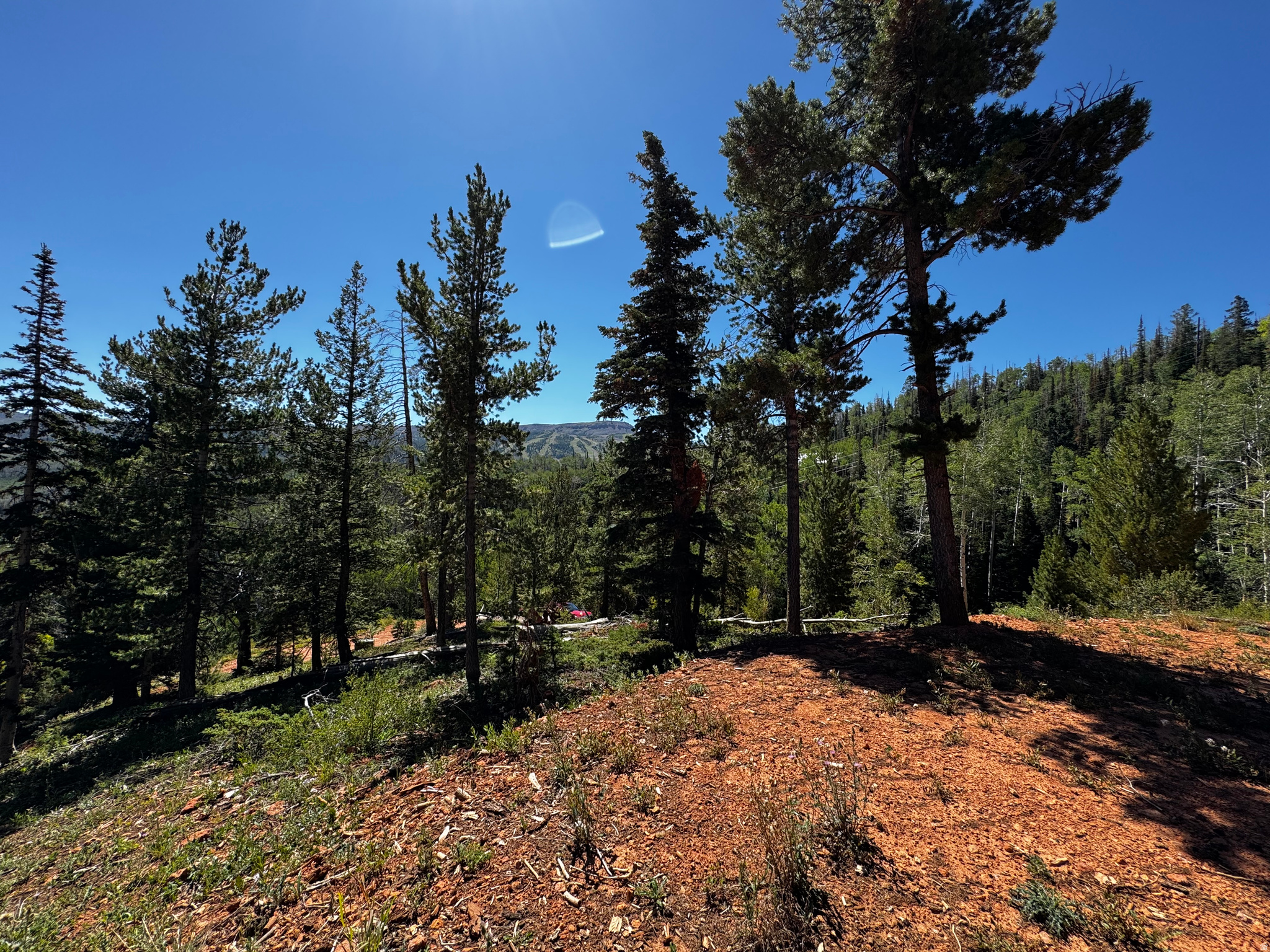 25 KOKOPELLI LOOP, Brian Head, UT 84719 — photo 1