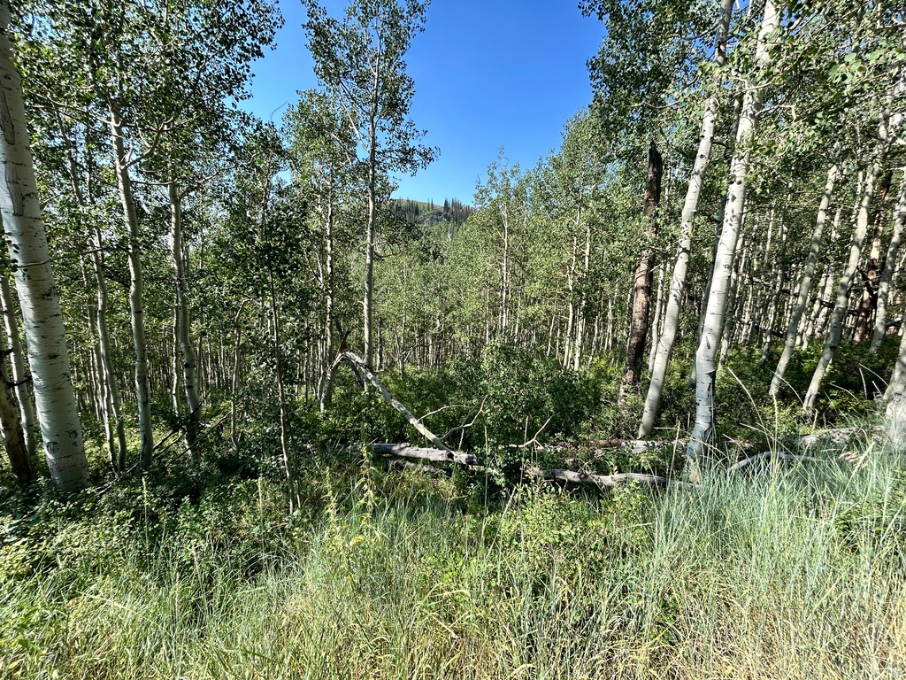5475 N HIDDEN WAY, Midway, UT 84049 — photo 1