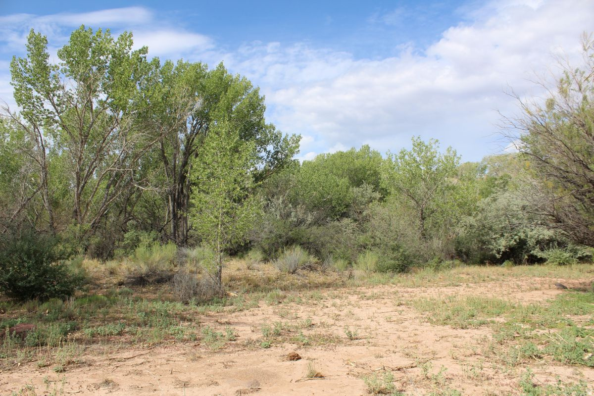 4500 S NOTOM RD, Torrey, UT 84775 — photo 1