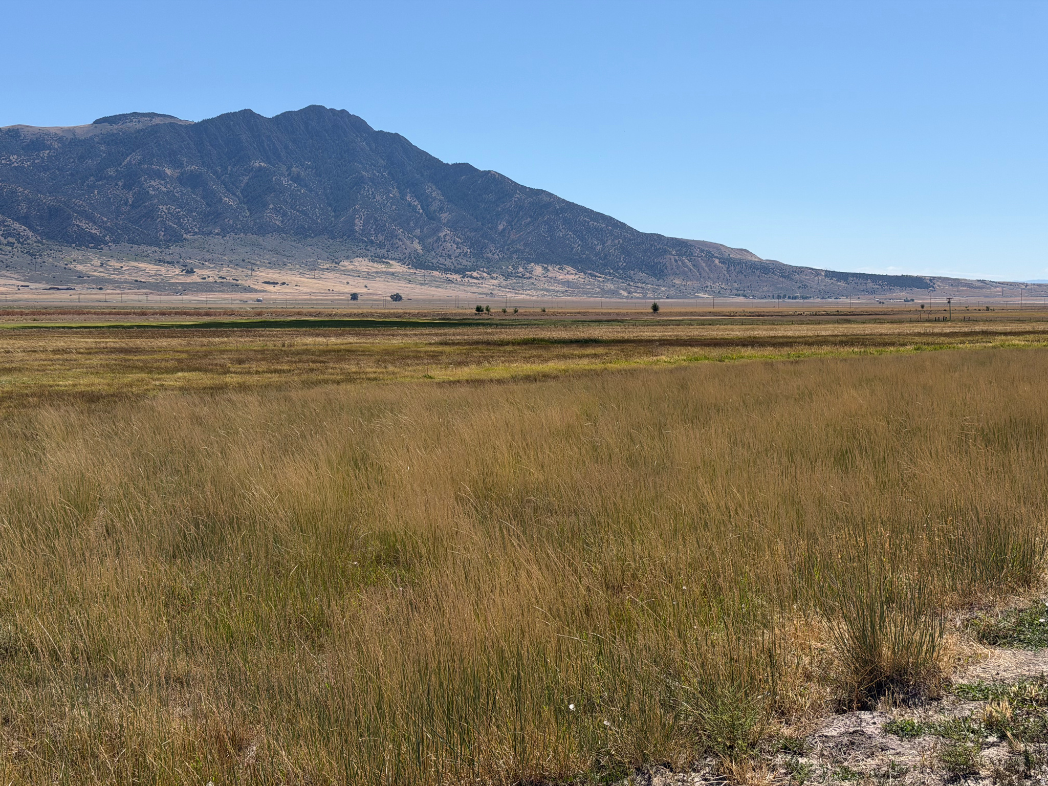 8800 W 24600 N, Portage, UT 84331 — photo 1
