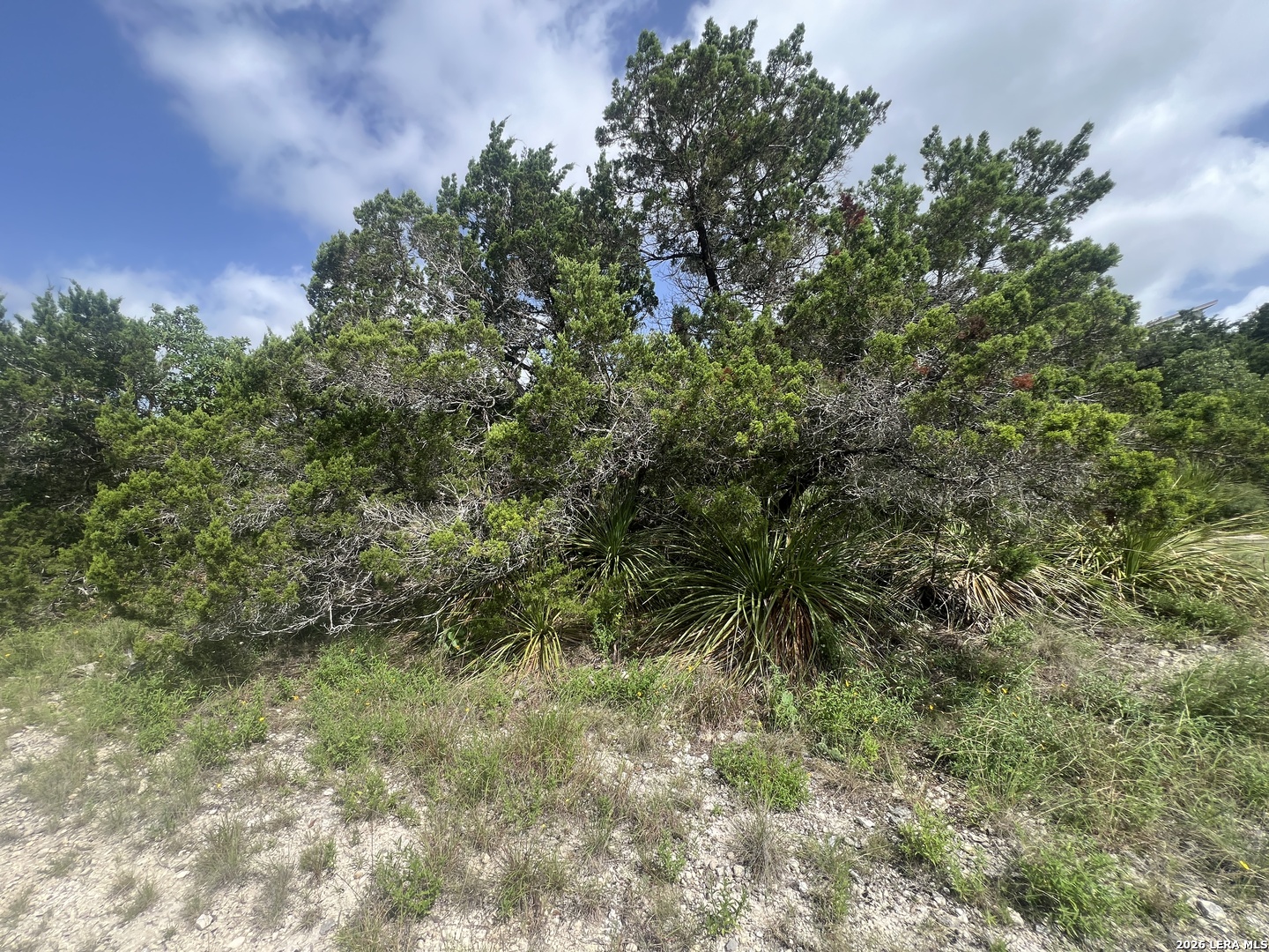 268 SCENIC HILLS DR, Canyon Lake, TX 78133 — photo 1