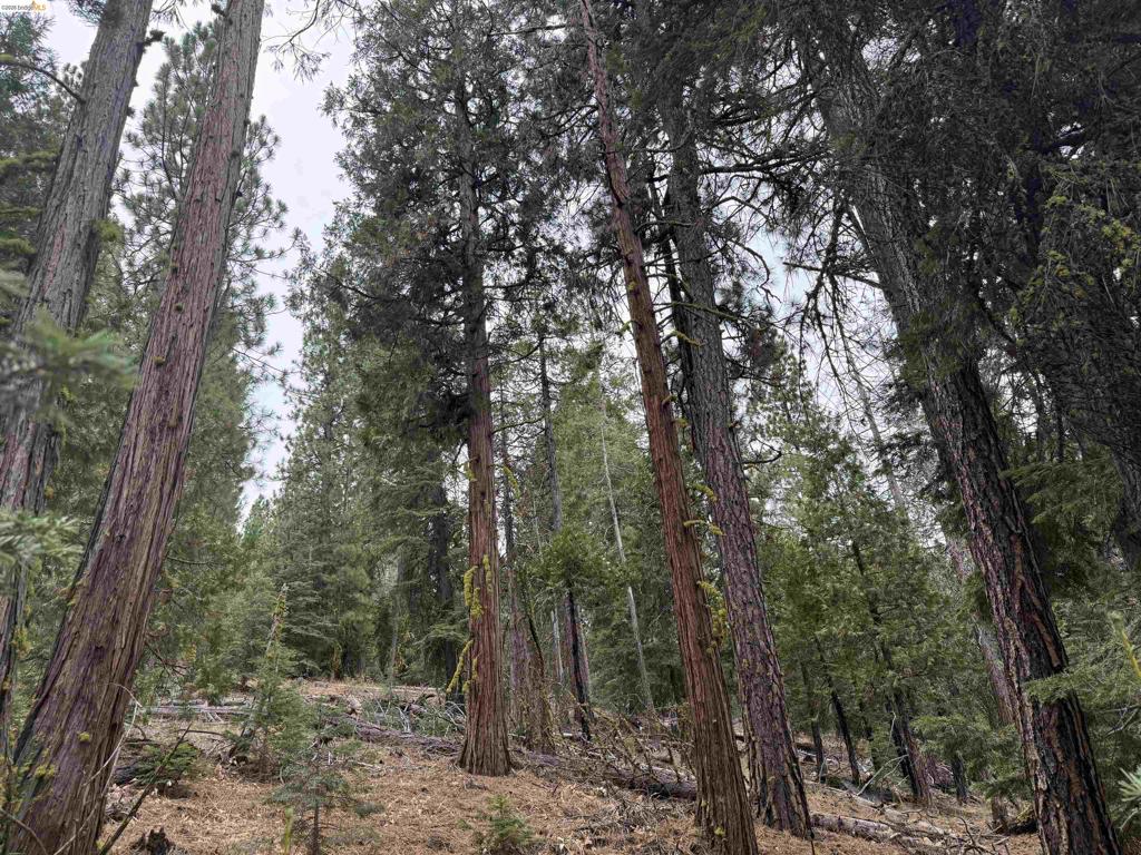 00000 Hillcrest, Alturas, CA 96101 — photo 1