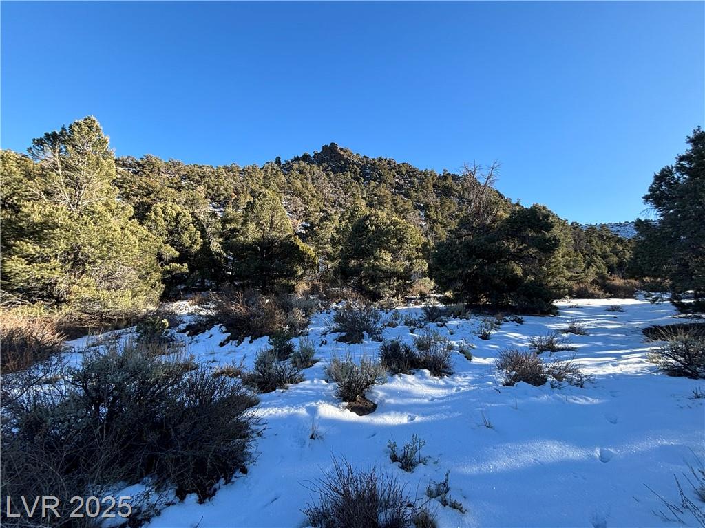 P-19 Butte Valley, Ely, NV 89301 — photo 1