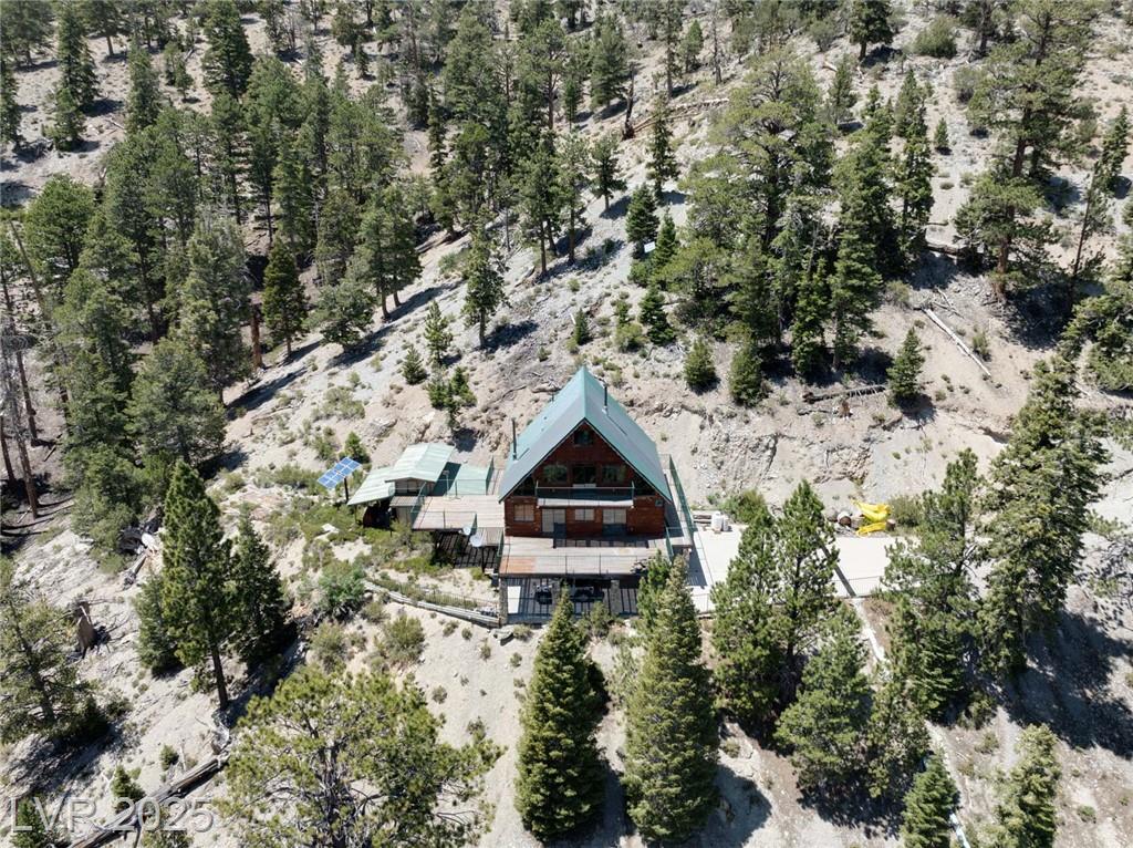 APN 128-07-410-001, Mount Charleston, NV 89124 — photo 1