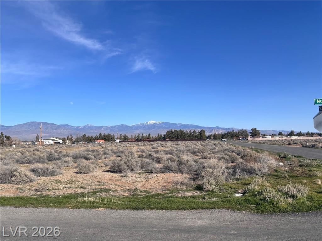 3480 West Retread Road, Pahrump, NV 89048 — photo 1