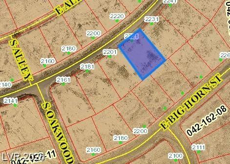 2221 East Ambush Street, Pahrump, NV 89048 — photo 1