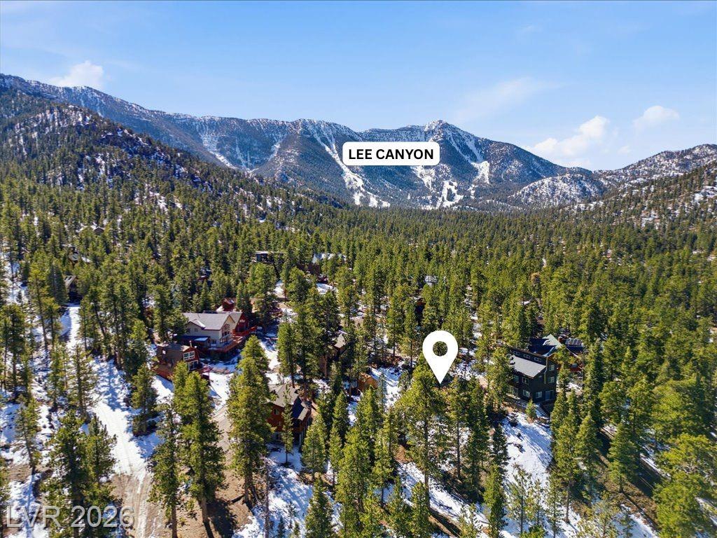 2209 Via Spes Nostra Street, Mount Charleston, NV 89124 — photo 1