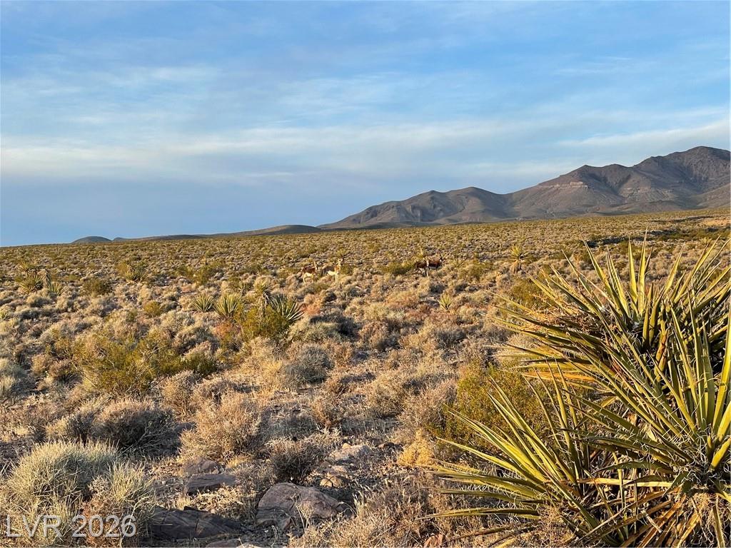 12470 North Blagg Road, Pahrump, NV 89060 — photo 1