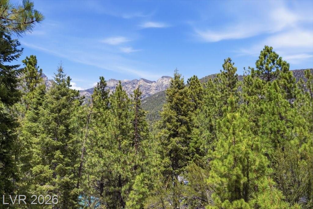 3953 Ski Trail Circle, Mount Charleston, NV 89124 — photo 1