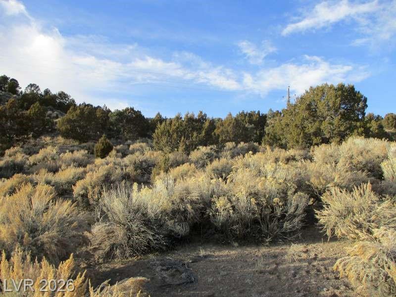 NV Hwy 322 (9.86 Ac)