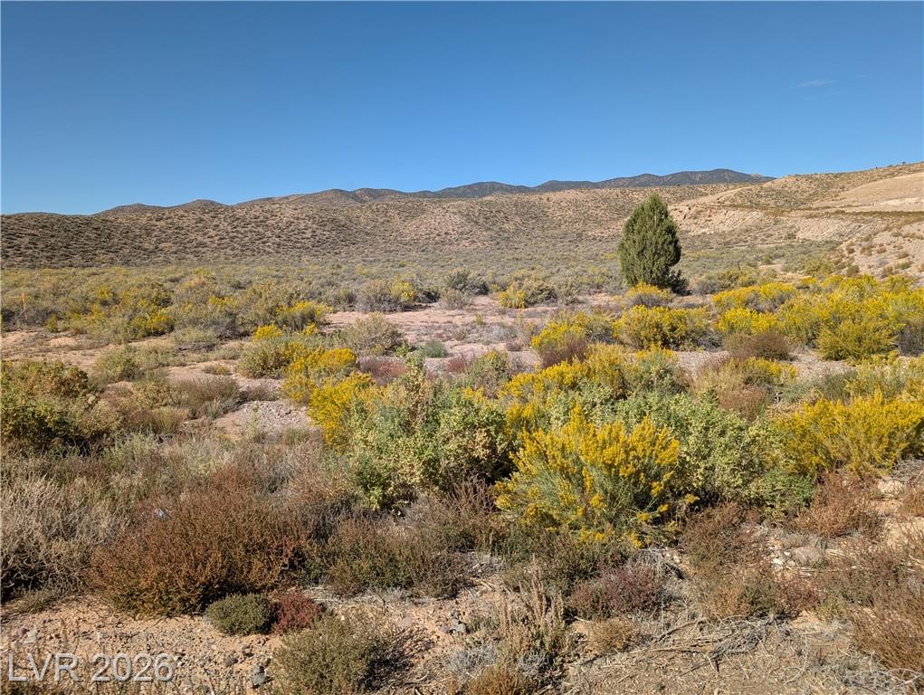 US Hwy 93 (25 Acres)