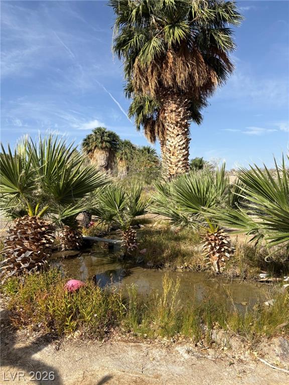 Gold Butte Road, Other, NV 89007 — photo 1